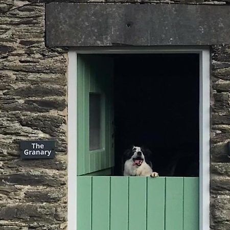 Dog Friendly Cottage, Geufron Farm Near Tywyn Bryn-crug Екстериор снимка