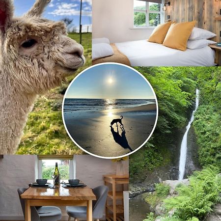 Dog Friendly Cottage, Geufron Farm Near Tywyn Bryn-crug Екстериор снимка