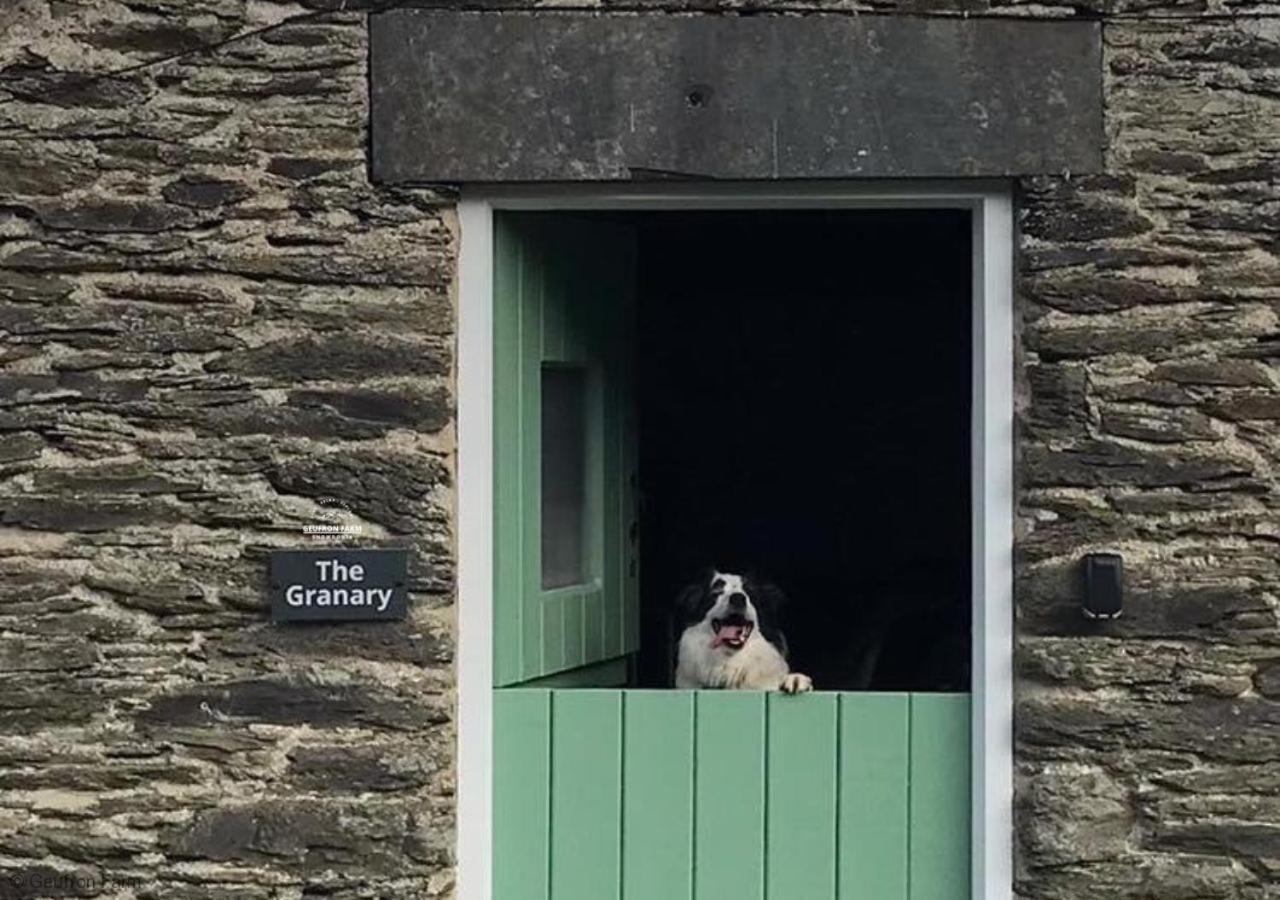 Dog Friendly Cottage, Geufron Farm Near Tywyn Bryn-crug Екстериор снимка
