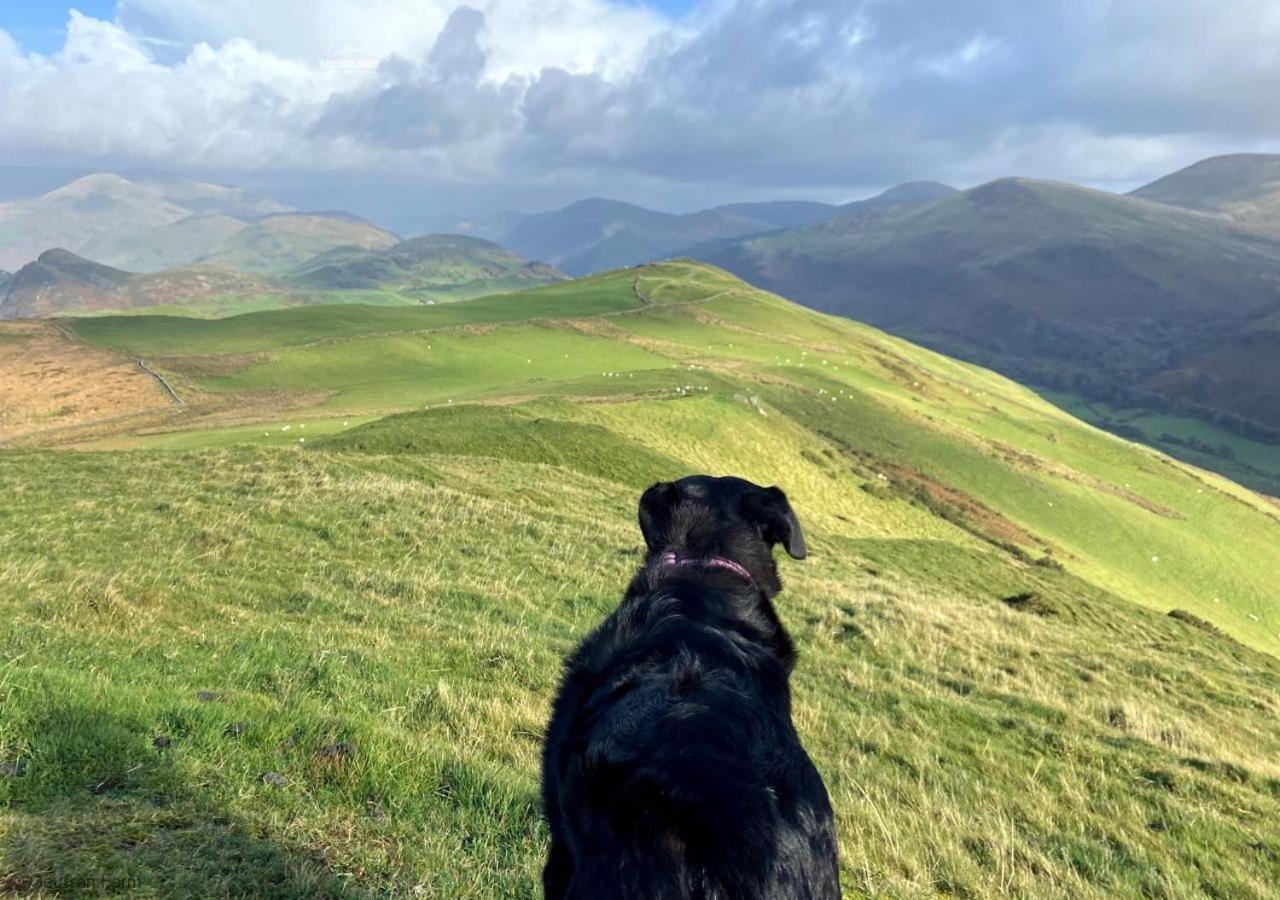 Dog Friendly Cottage, Geufron Farm Near Tywyn Bryn-crug Екстериор снимка