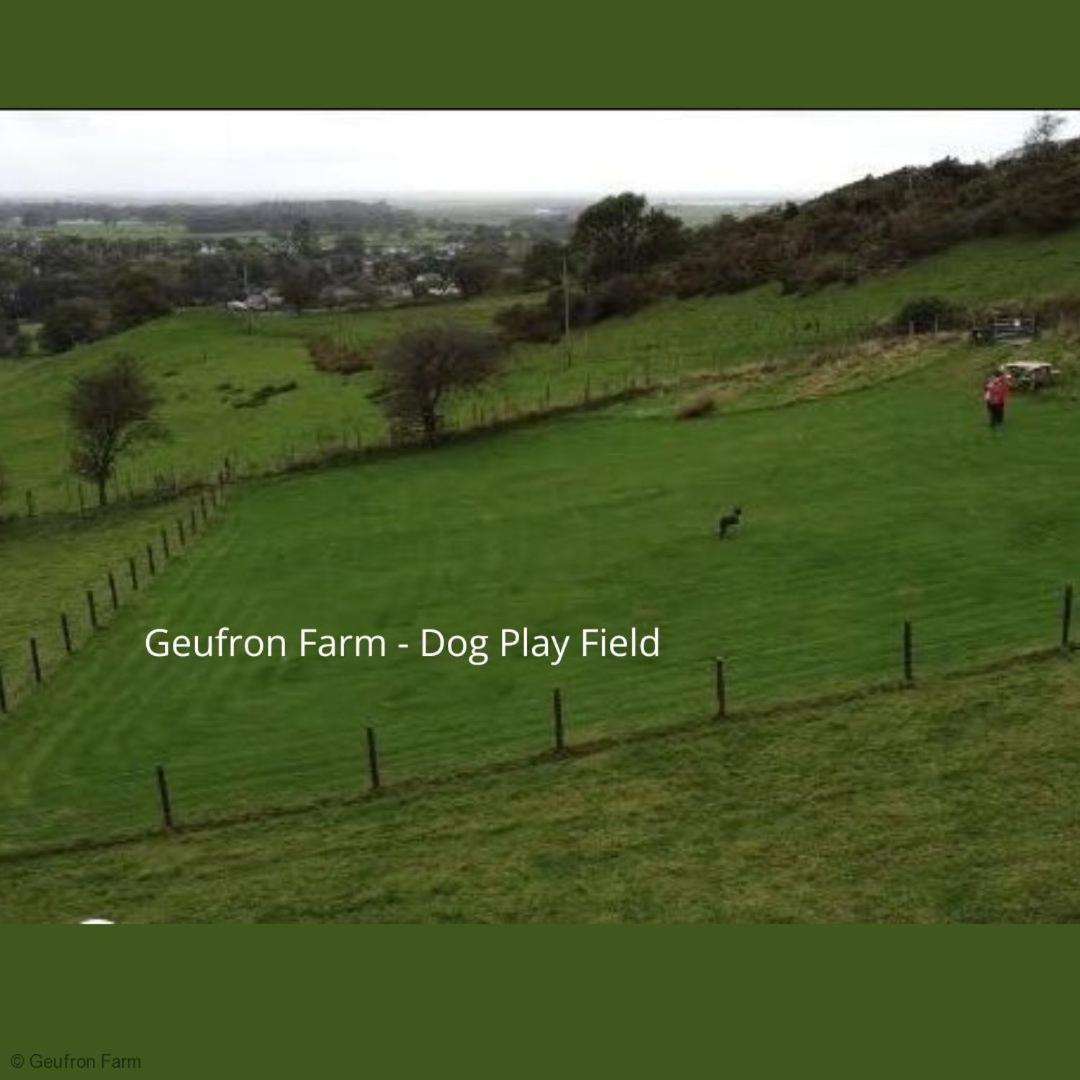 Dog Friendly Cottage, Geufron Farm Near Tywyn Bryn-crug Екстериор снимка