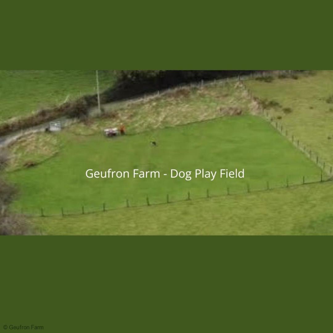 Dog Friendly Cottage, Geufron Farm Near Tywyn Bryn-crug Екстериор снимка