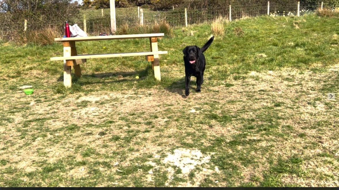 Dog Friendly Cottage, Geufron Farm Near Tywyn Bryn-crug Екстериор снимка